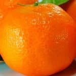 Tangerines