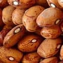 Beans