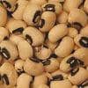 Black Eyed Peas