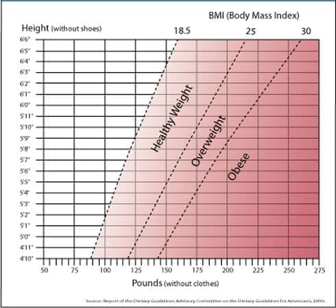 weight and bmi
