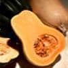 Butternut Squash