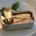 A can of sardines