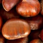 Chestnuts