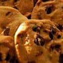 Several chocolate chip cookies