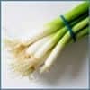 Green Onions