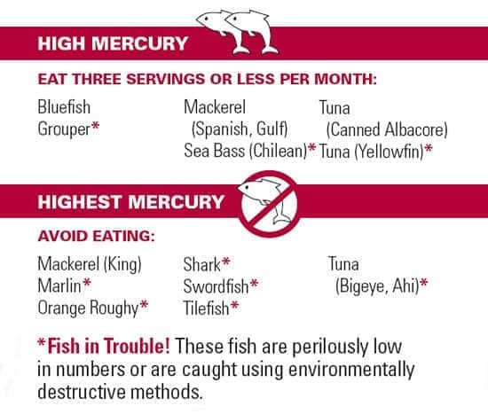 Listing of Fish High in Mercury Bluefish Grouper Mackerel(Spanish, Gulf) Sea Bass (Chilean) Tuna(Canned Albacore) Tuna (Yellowfin) Bluefish Grouper Mackerel(Spanish, Gulf) Sea Bass (Chilean) Tuna (Canned Albacore) Tuna (Yellowfin)
