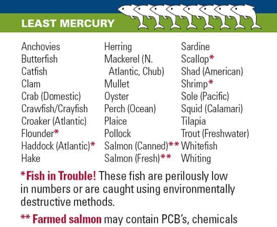 Listing of Fish Low in Mercury Anchovies Butterfish Catfish Clam Crab (Domestic) Crawfish Crayfish Croaker (Atlantic) Flounder Haddock (Atlantic) Hake Herring Mackerel (N.Atlantic, Chub) Mullet Oyster Perch (Ocean) Plaice Pollock Salmon (Canned) Salmon (Fresh)Sardine Scallop Shad (American) Shrimp Sole (Pacific) Squid (Calamari) Tilapia Trout (Freshwater) Whitefish Whiting