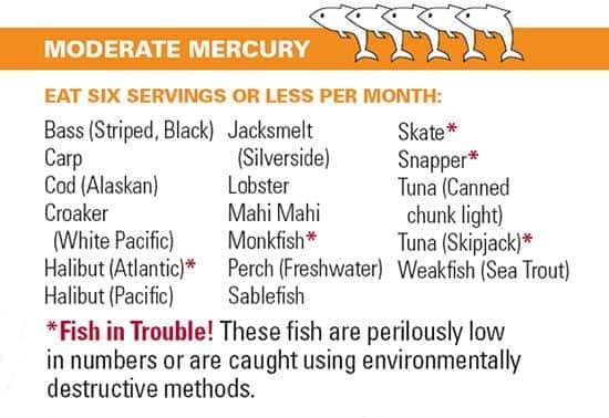 Listing of Fish Moderate in Mercury Bass (Striped, Black) Carp Cod (Alaskan) Croaker (White Pacific) Halibut (Atlantic) Halibut (Pacific) Jacksmelt(Silverside) Lobster Mahi Mahi Monkfish Perch (Freshwater) Sablefish Skate Snapper Tuna (Canned chunk light) Tuna (Skipjack) Weakfish (Sea Trout)