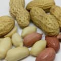 Peanuts in shell