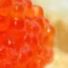 Salmon Roe