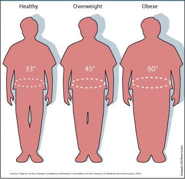 Images of Waist sizes and how they
relate to being healthy, overweight, or obese.