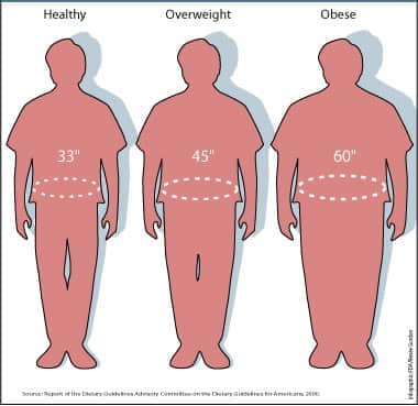 Images of Waist sizes and how they relate to being healthy, overweight, or obese.