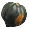 An acorn squash