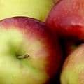 Apples