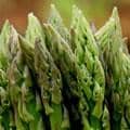 Heads of asparagus