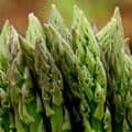 Asparagus