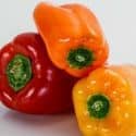 Sweet Bell Peppers