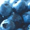 Blueberries