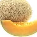 Wedge of cantaloupe melon