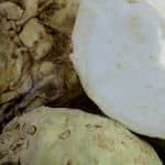 Celeriac