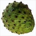 Cherimoya fruit