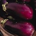 Eggplants