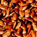 Flax Seeds