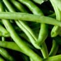 Haricots verts