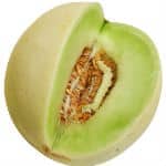 Half of a honeydew melon