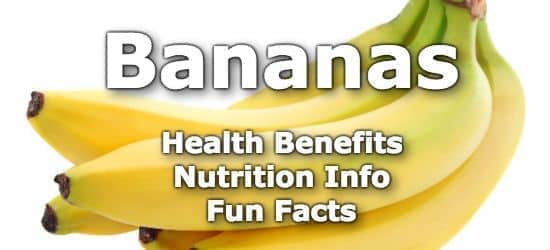 Top 5 Health Benefits of Bananas + Nutrition Info and Fun Facts
