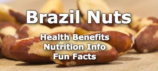 Top 5 Health Benefits of Brazil Nuts + Nutrition Info and Fun Facts