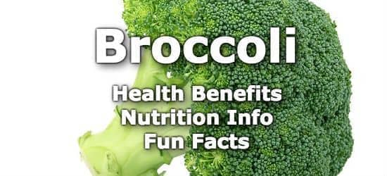 Top 5 Health Benefits of Broccoli + Nutrition Info and Fun Facts