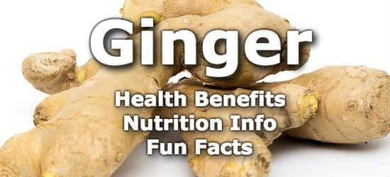 Top 5 Health Benefits of Ginger + Nutrition Info and Fun Facts