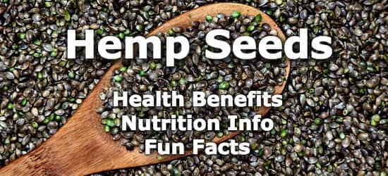 Top 5 Health Benefits of Hemp Seeds + Nutrition Info and Fun Facts