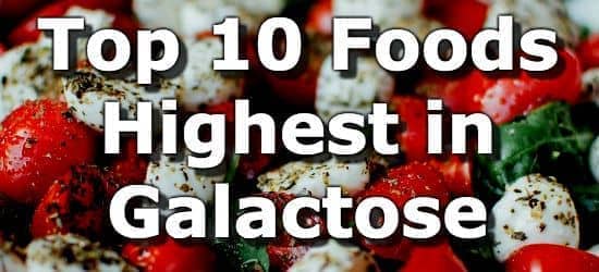 Top 10 Foods Highest in Galactose