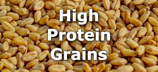 Protein In Grains Chart