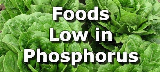 Foods Low in Phosphorus for People with Kidney Disease