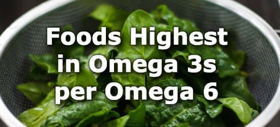 Top 10 Foods with the Highest Omega 3 to Omega 6 Ratio