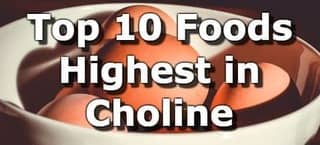 High Choline Foods