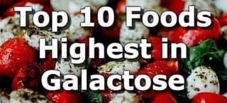 High Galactose Foods