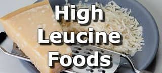High Leucine Foods 