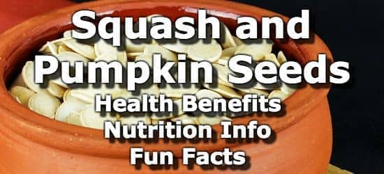 Squash and Pumpkin Seeds: Health Benefits, Nutrition Info, Fun Facts