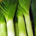 Stalks of leeks