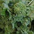 Broccoli Raab (Rapini)