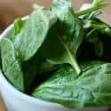 A Bowl of Spinach