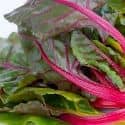 Swiss Chard