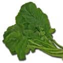 Turnip Greens