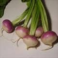 Turnip Greens