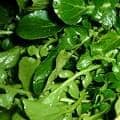 Watercress