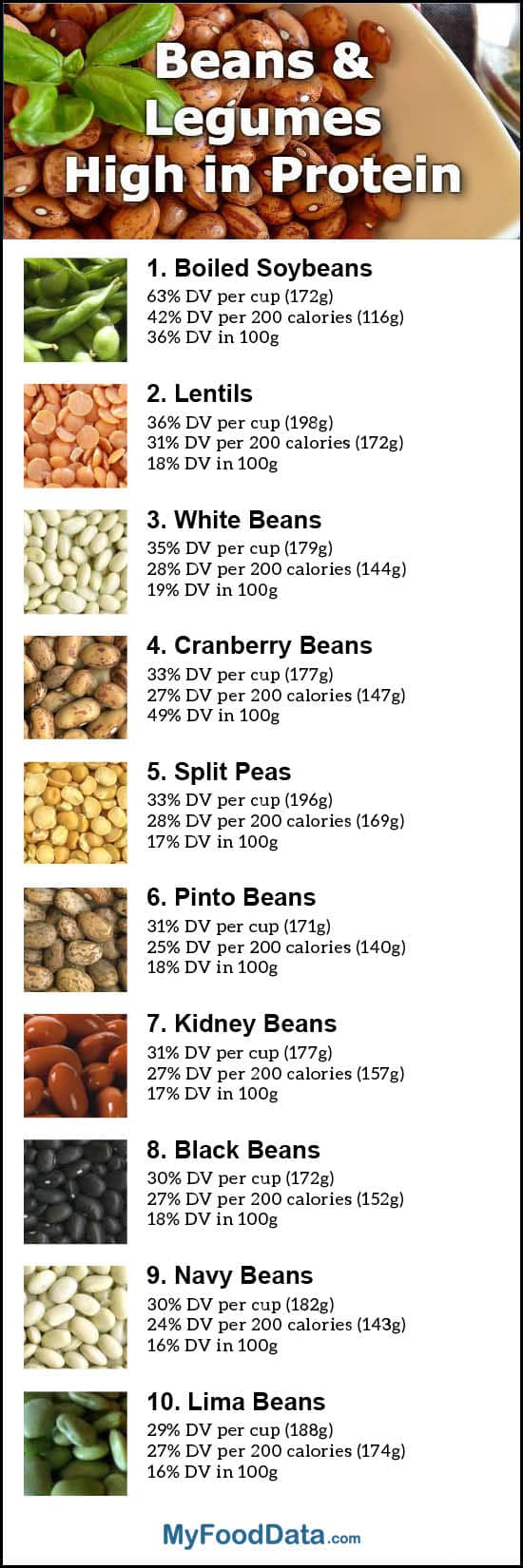 Protein In Beans Chart